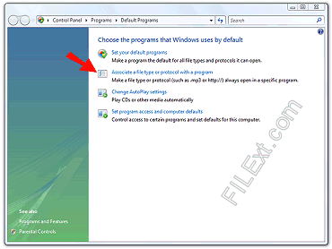 Vista Associate File Type