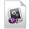File Extension WIDGET